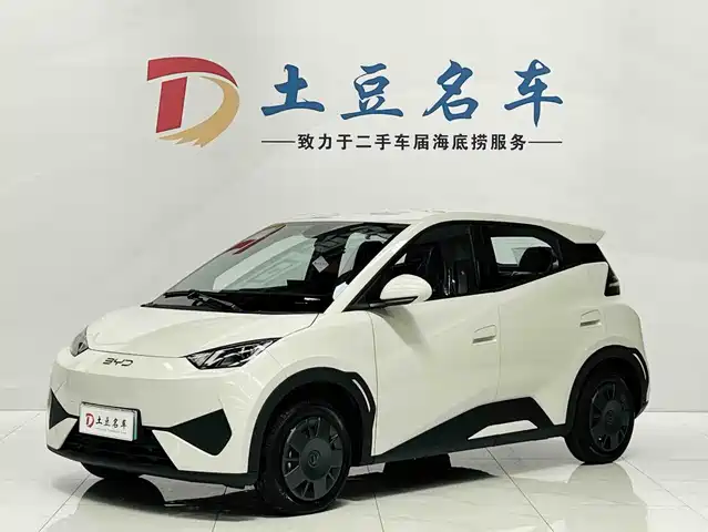 BYD Seagull Система помощи водителю, 305km, Энергия