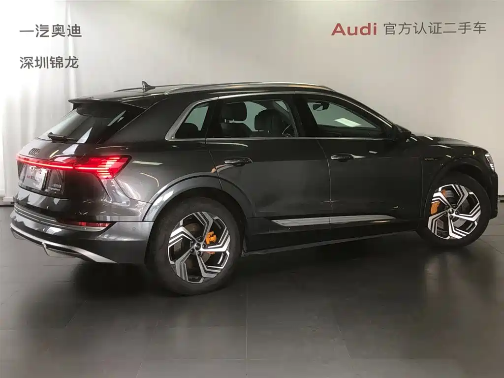 Audi e-tron 2021 50 quattro Exclusive Selection фото 3