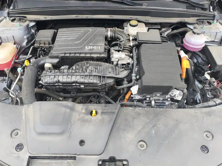 BYD Destroyer 05 2025 2024 Glory Edition DM-i 55KM Luxury