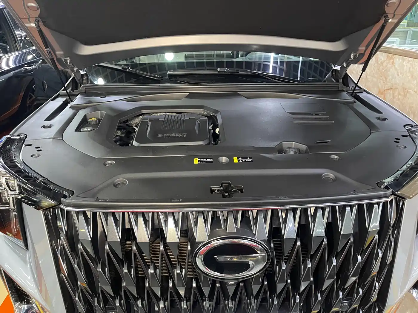 GAC Trumpchi Trumpchi GS8 2022 Pilot Series 2.0TGDI 2WD Premium Edition (7-Seater) фото 22