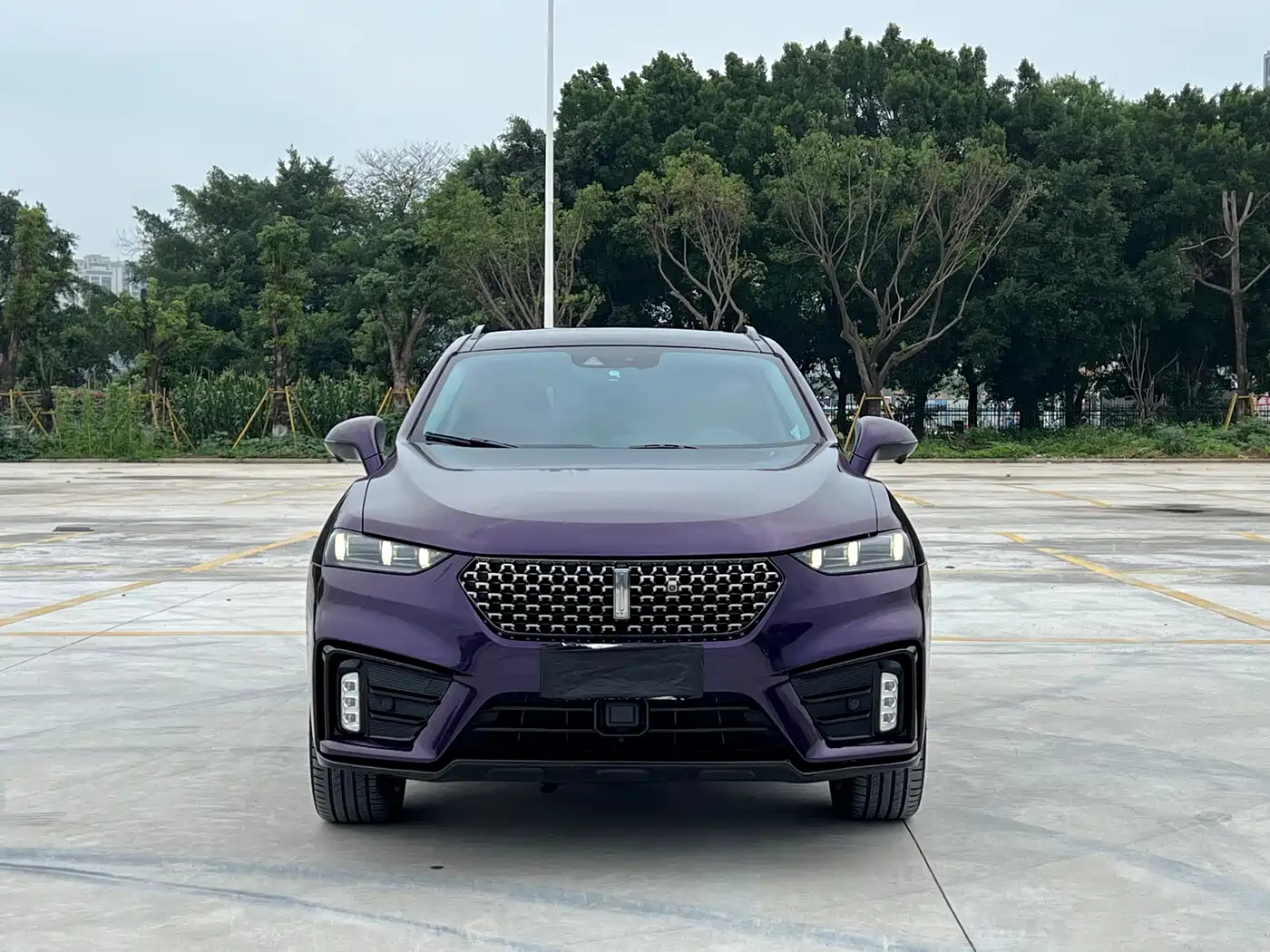 2021 WEY VV7