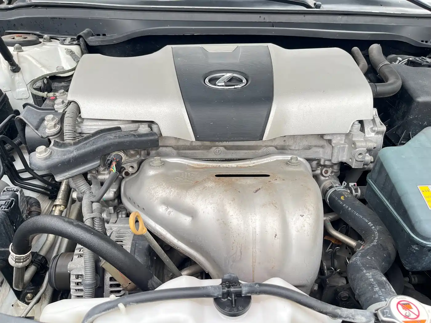Lexus ES 2015 200 Elite Edition фото 13