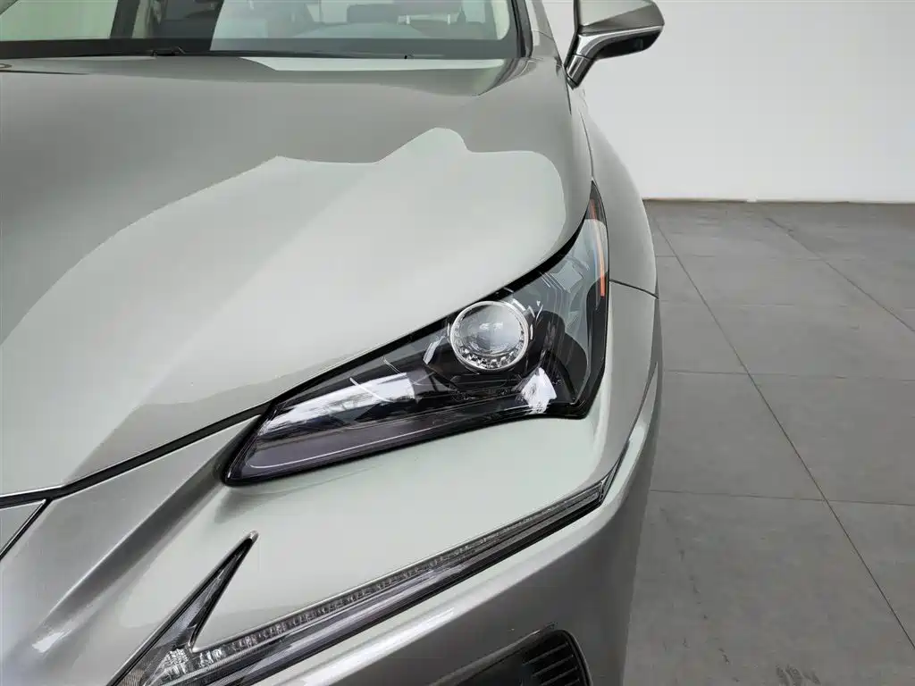Lexus NX 2018 Model 300 FWD Fengxing Edition фото 7