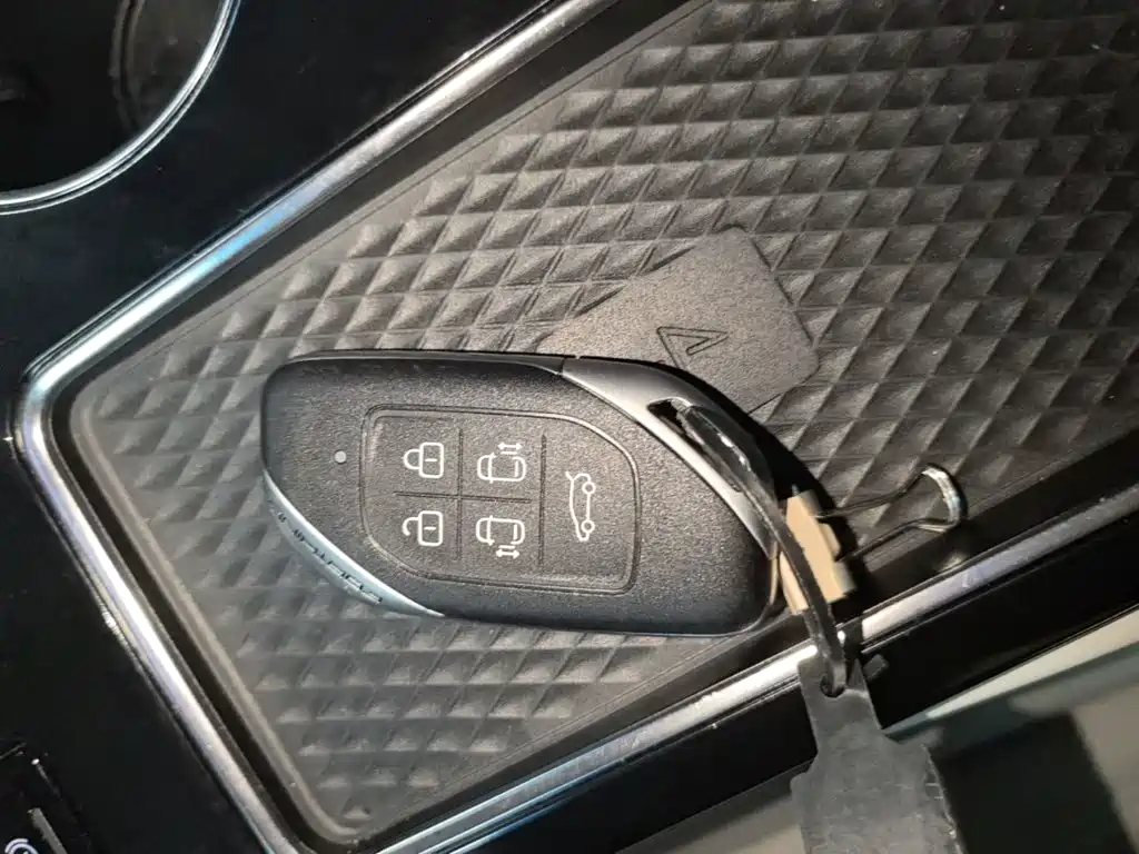 Dongfeng Fengxing Starlight V9 2025 2024 1.5TD 200km Chinese Knot Series Exclusive