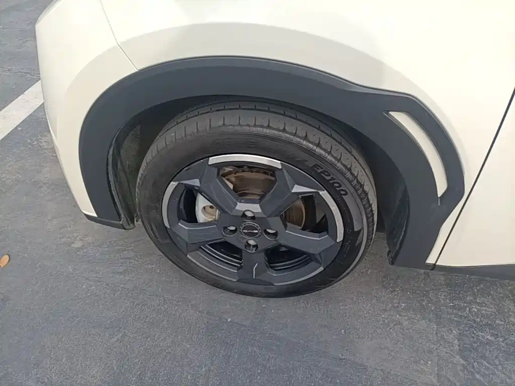 BYD Seagull 2023 Freedom Edition фото 23
