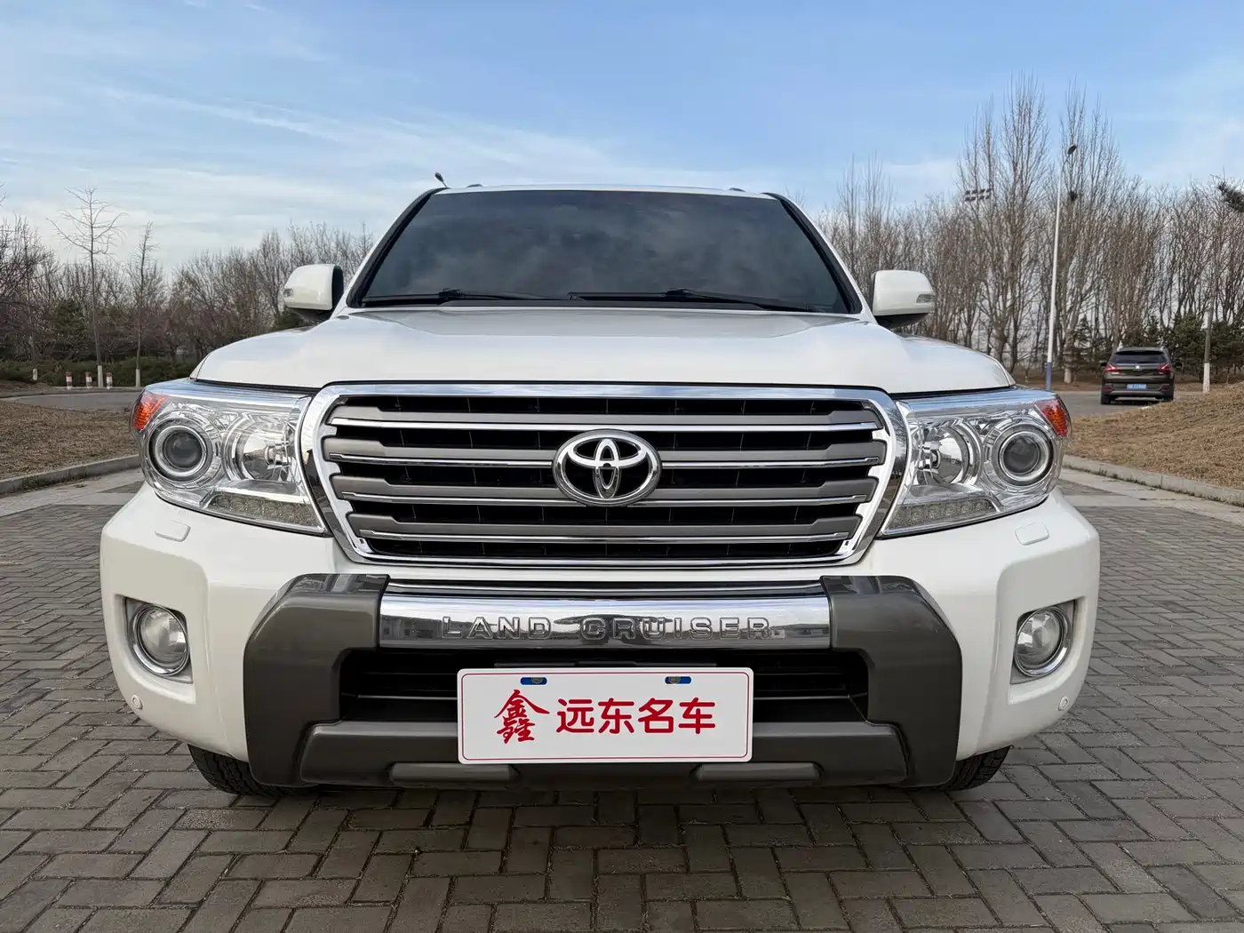 Toyota Land Cruiser 2012 4.6L Automatic VX-R фото 2