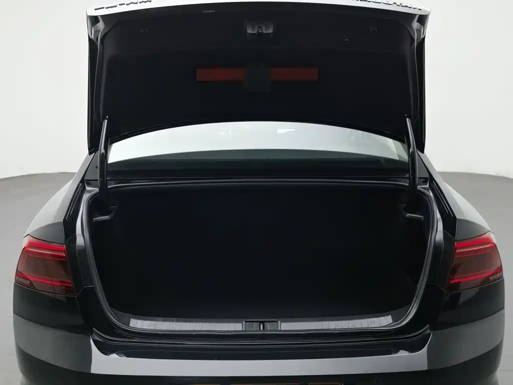 Volkswagen Magotan, миниатюра 16