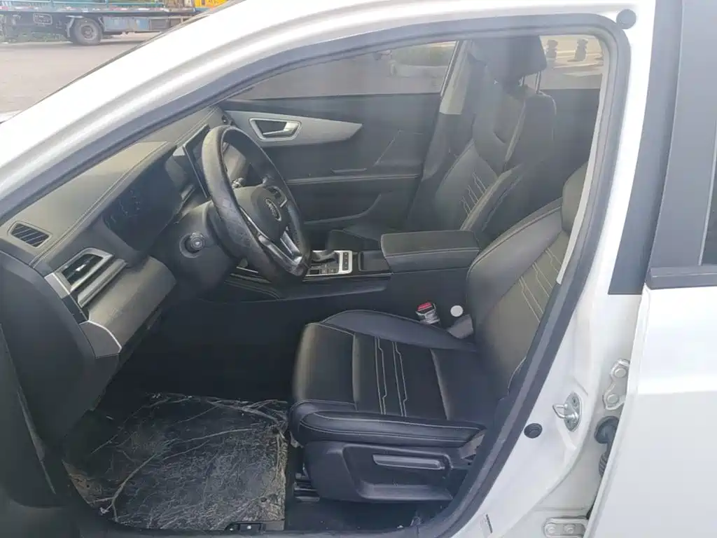BYD Qin 2020 2019 1.5L Automatic Luxury Edition