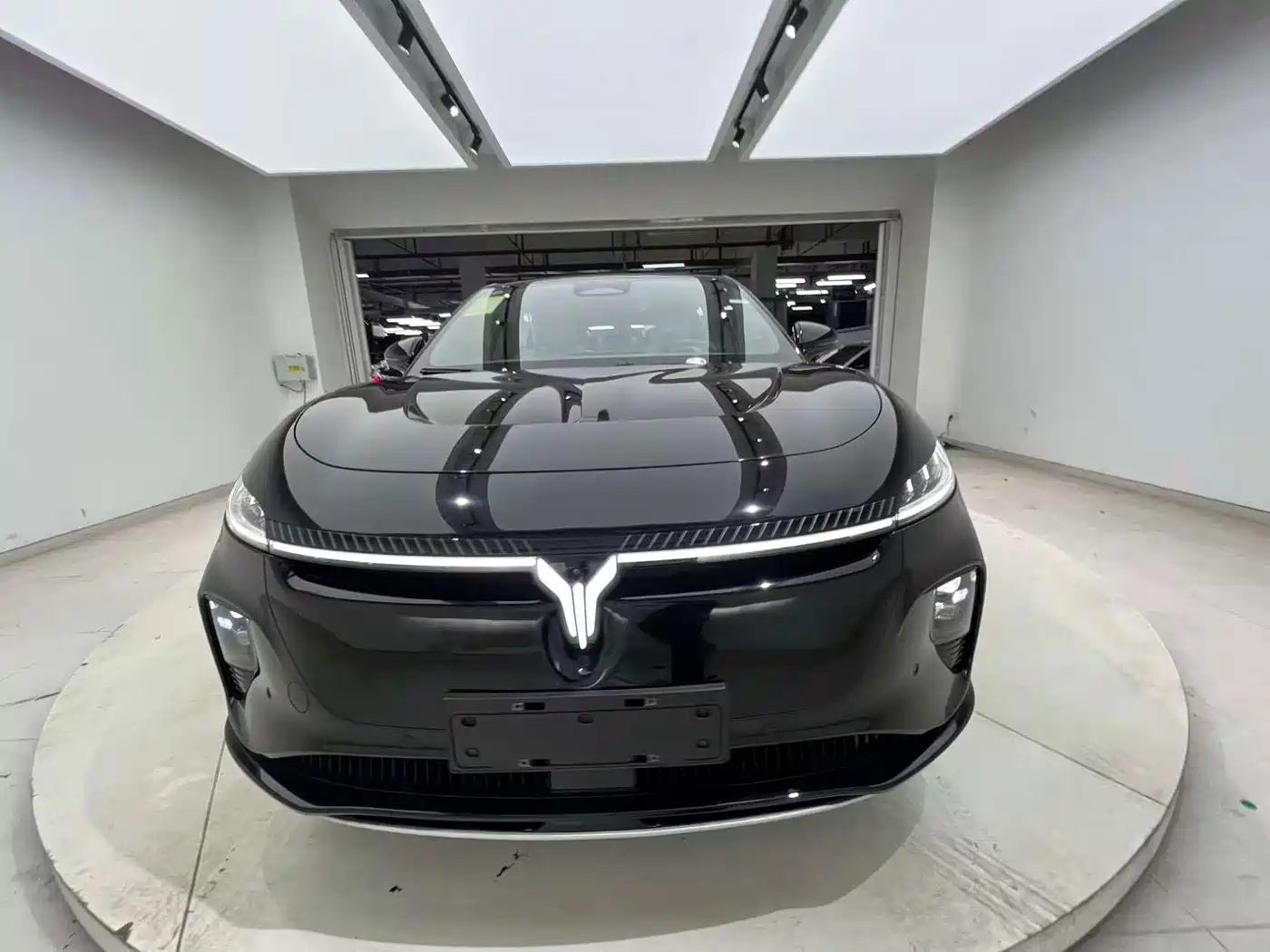 Voyah Auto Voyah Zhiyin 2026 2024 Long Range Super Charging Edition
