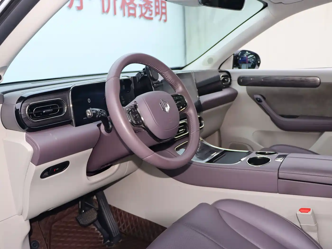 Leapmotor C11 2022 2021 Model Premium Edition