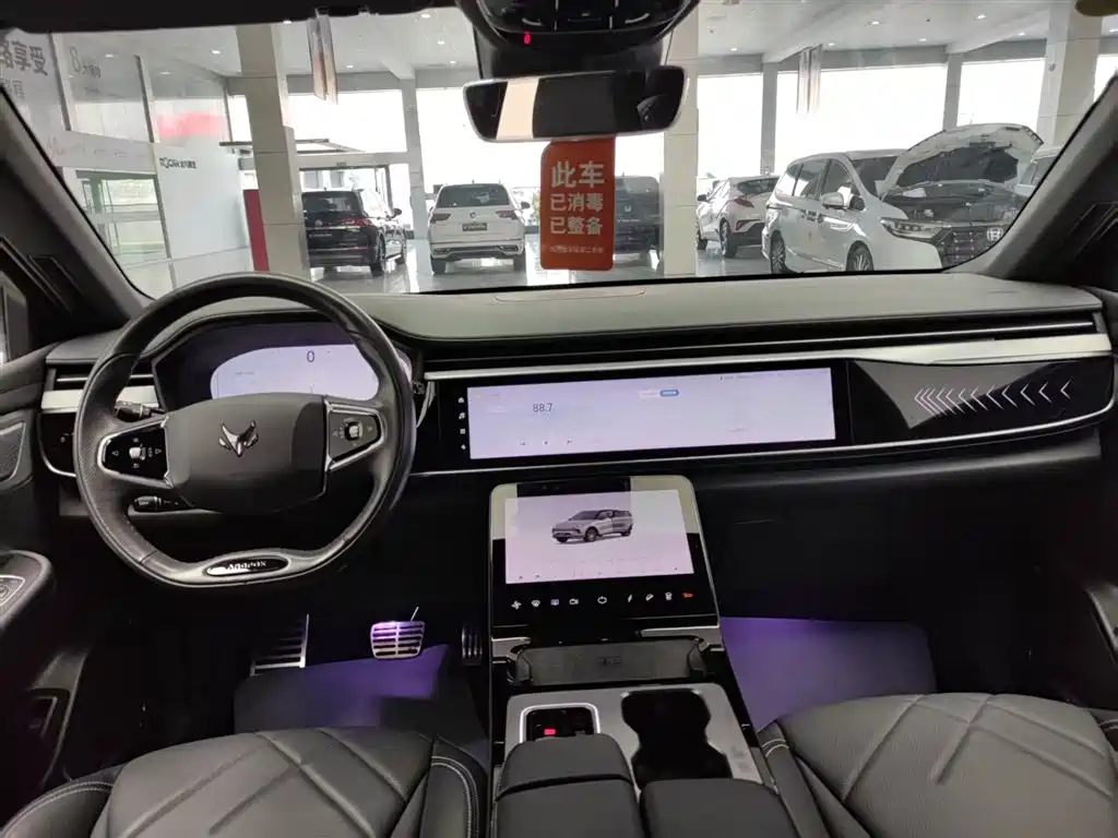 ARCFOX EXTREME FOX POLAR FOX ALPHA T