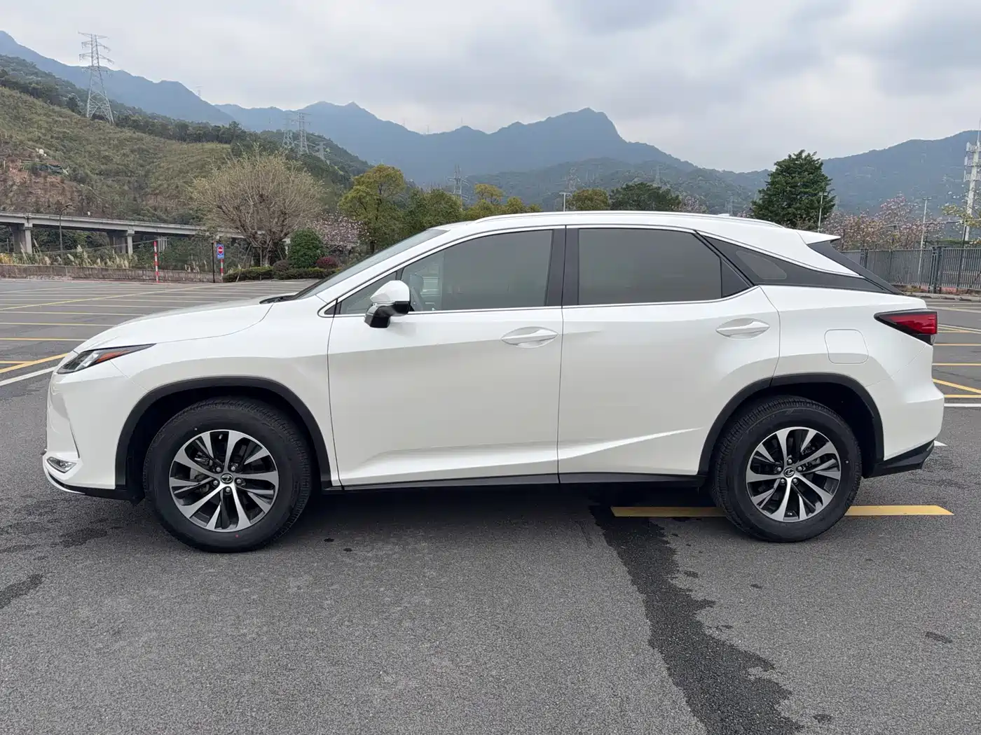 LEXUS RX