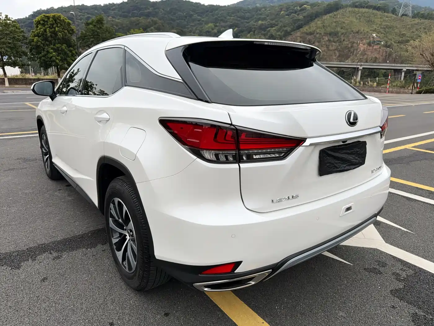 LEXUS RX