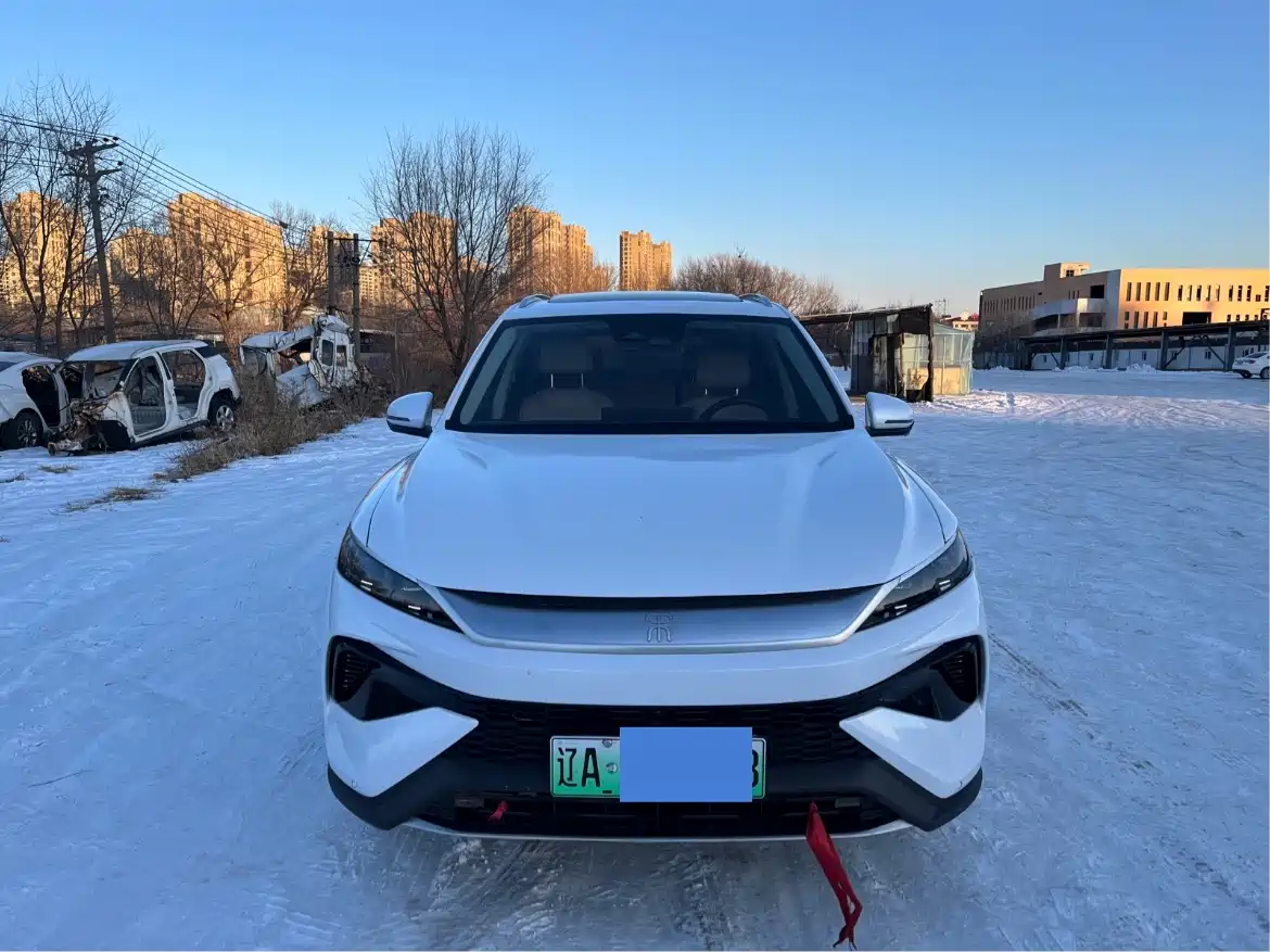 BYD SONGJIANG NEW ENERGY