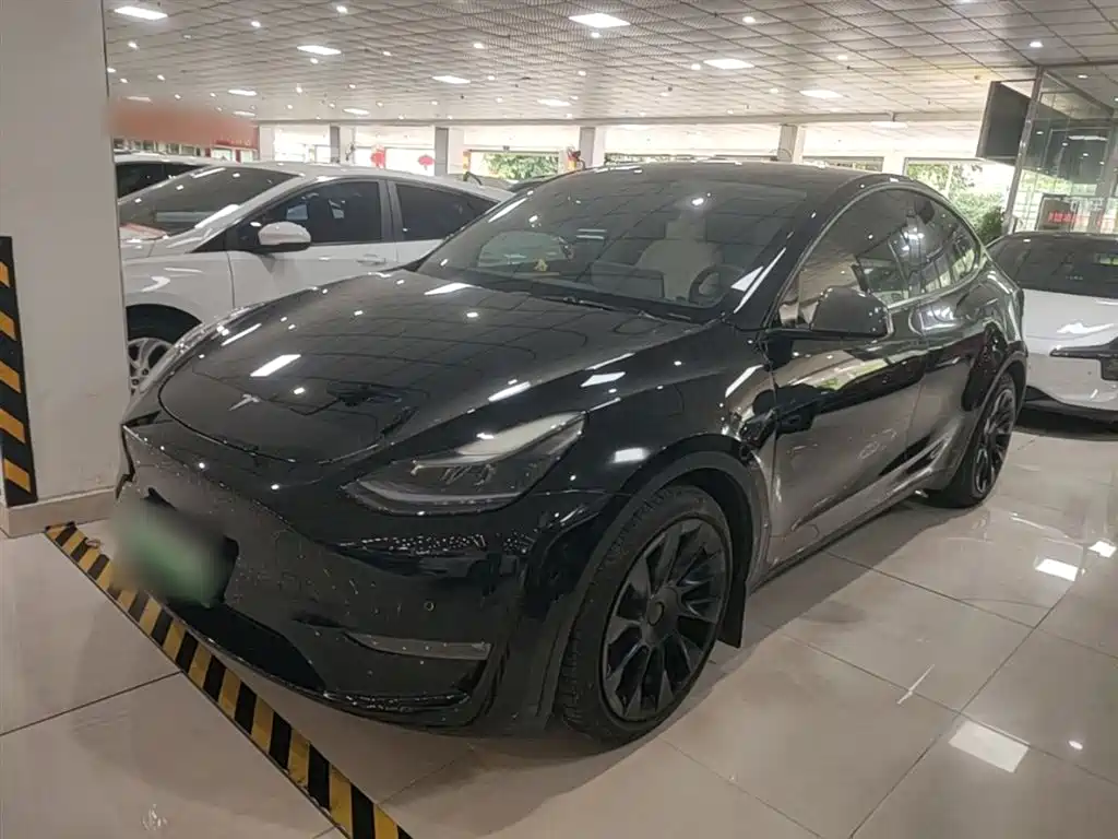 Tesla Model Y 2021 Standard Range Rear-Wheel Drive