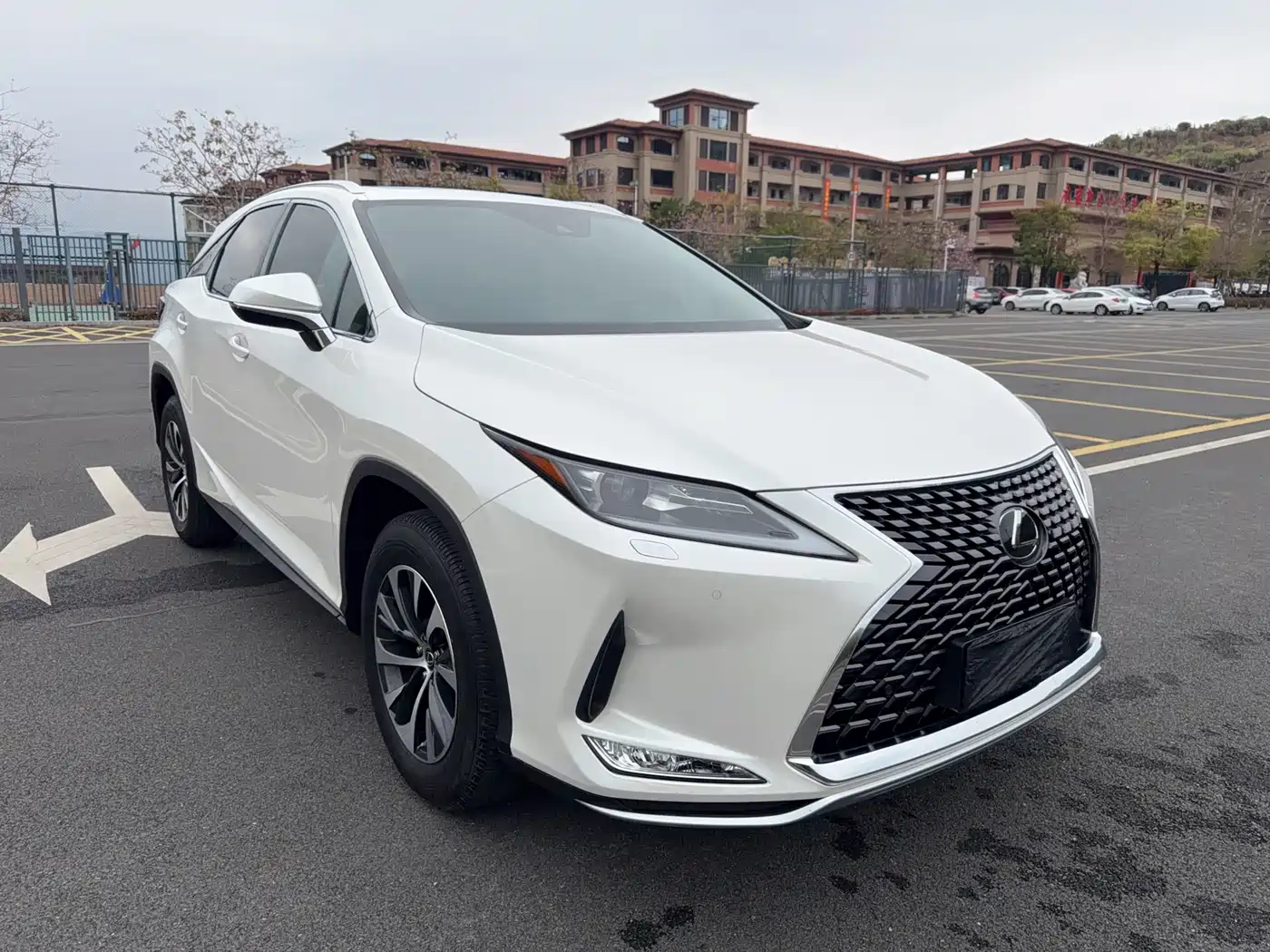 LEXUS RX
