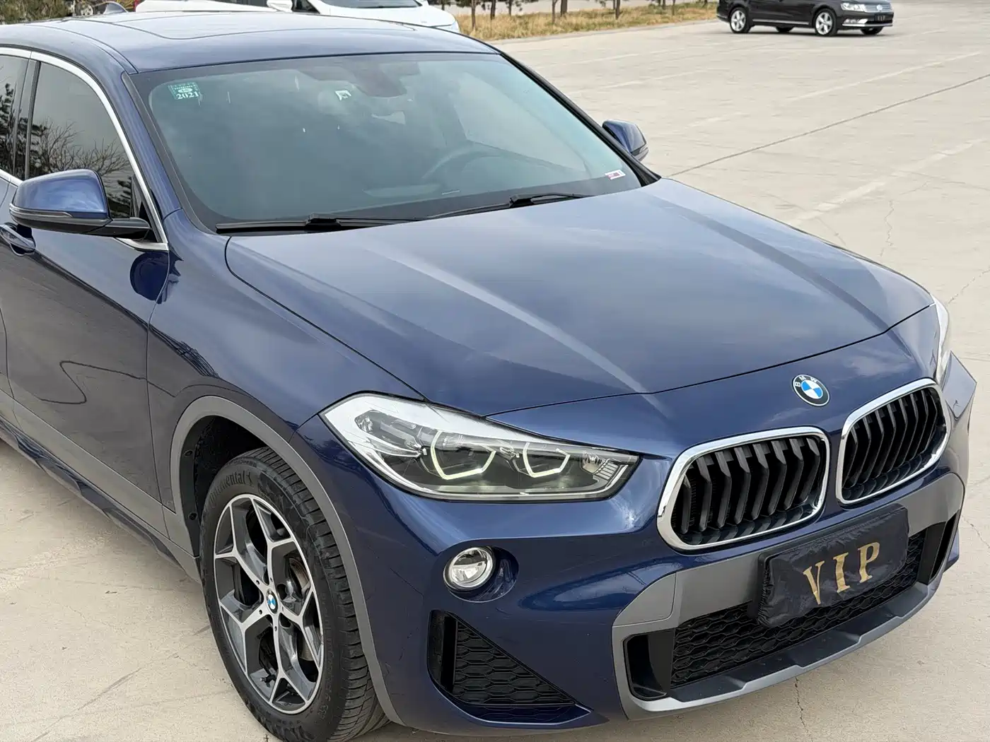 BMW X2 (Import) 2019 sDrive20i M Off-Road Package China VI фото 3