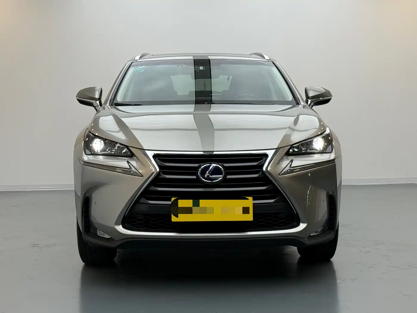 Lexus NX 2015 300h FWD Luxury фото 2