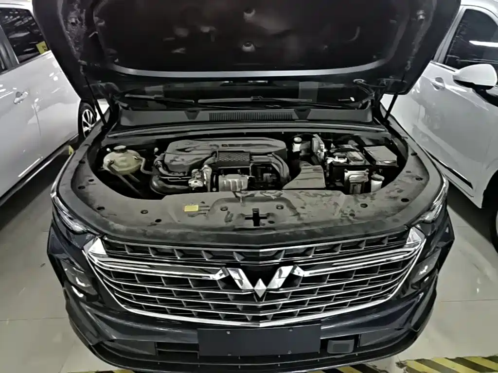 Photo 20 - Wuling Motors Wuling Victory
