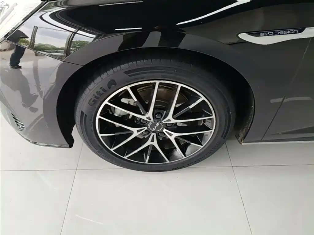 BYD Seal 2023 DM-i 1.5T 121km Flagship фото 23
