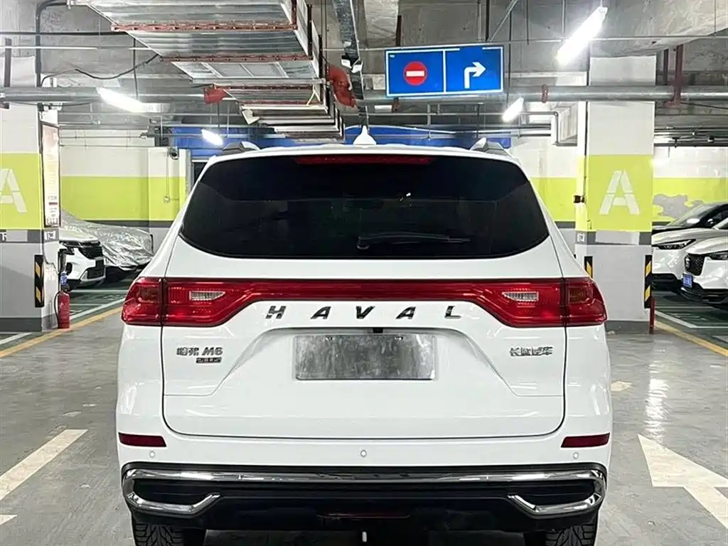 HAVAL M6