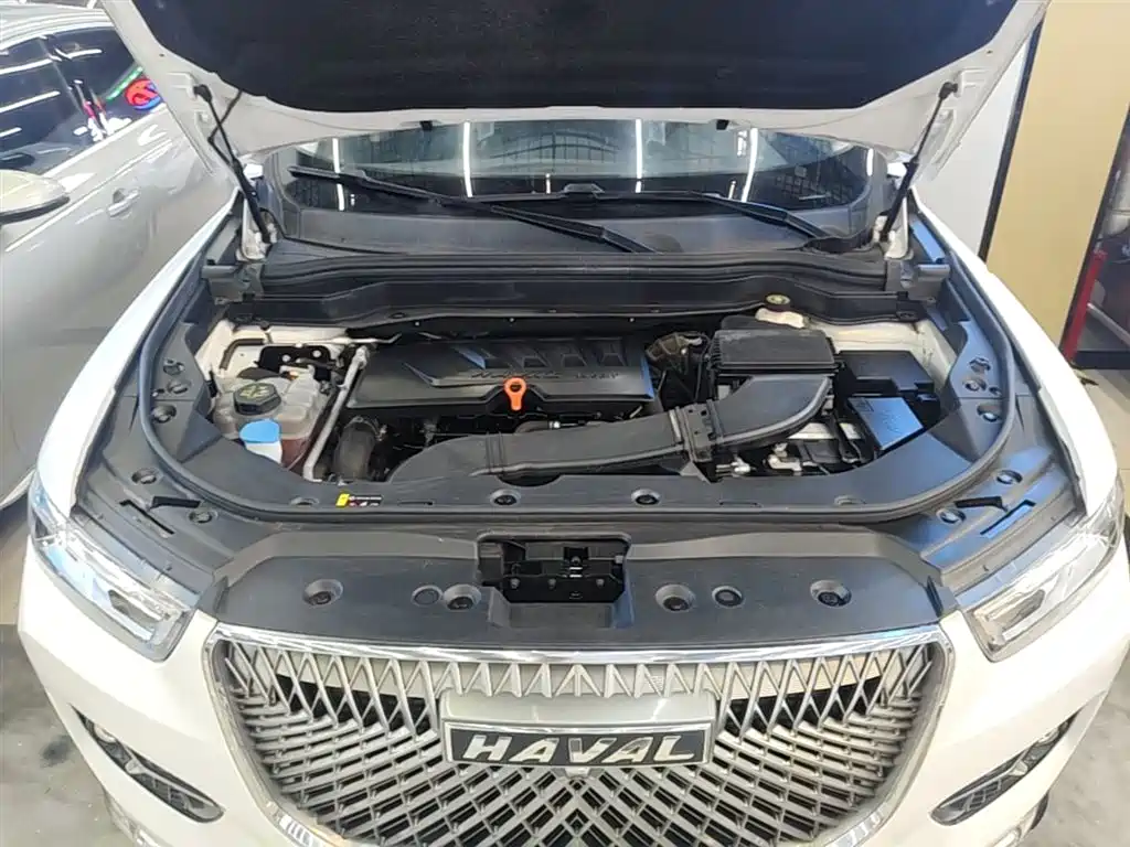 Haval H6 2021 1.5GDIT Automatic Champion Edition фото 20