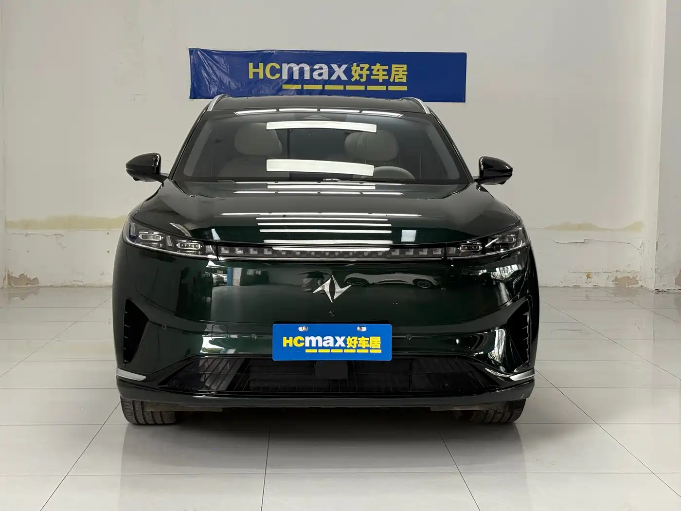 2025 Dongfeng Yipai eπ008