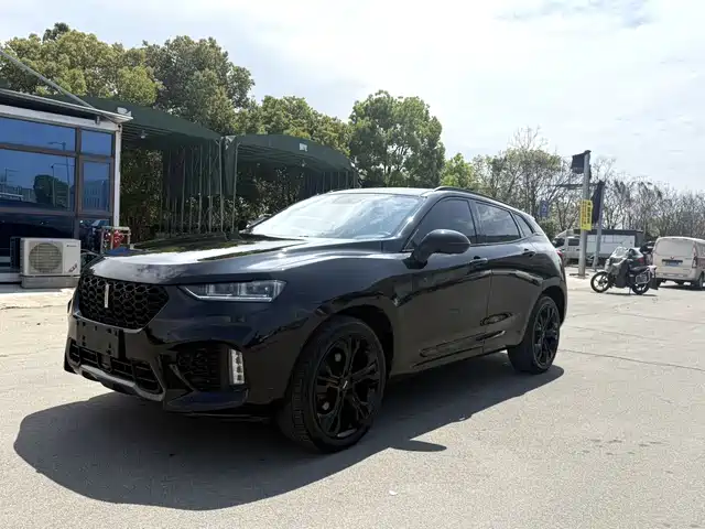 WEI PAI WEI BRAND VV7