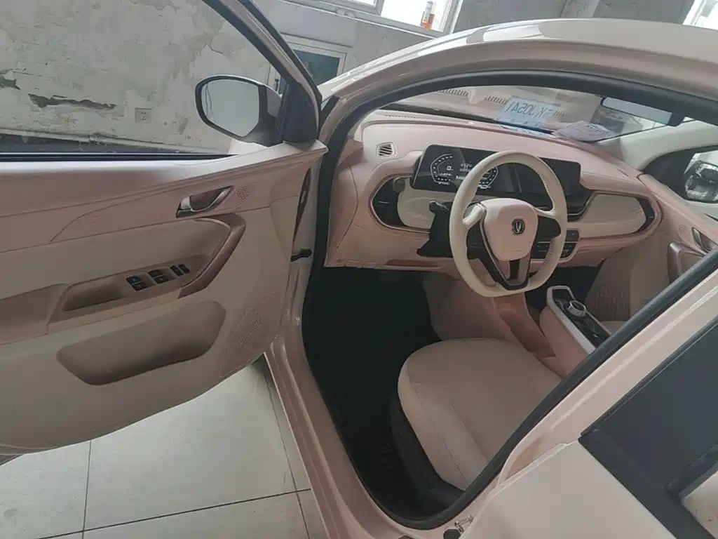 صورة 16 - Changan Oshan Benben E-Star