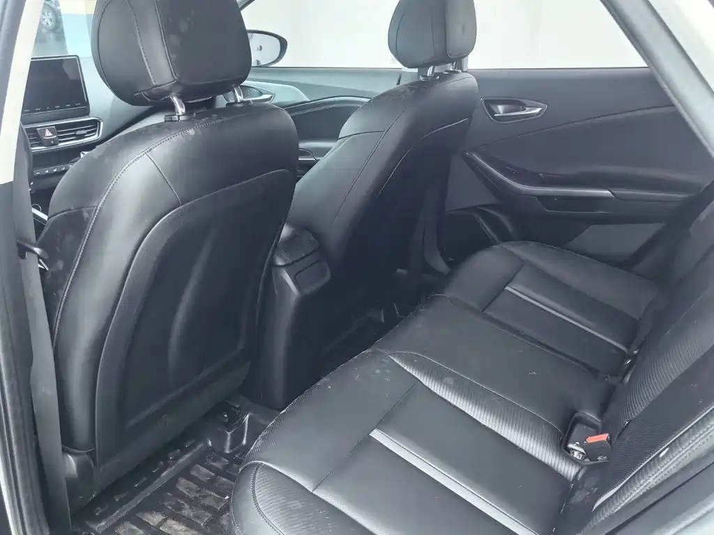 Фото 6 - Hyundai Lafesta