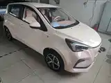صورة 4 - Changan Oshan Benben E-Star