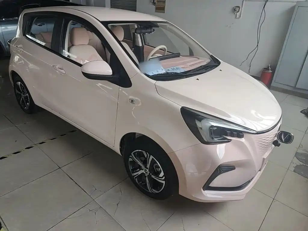 صورة 4 - Changan Oshan Benben E-Star