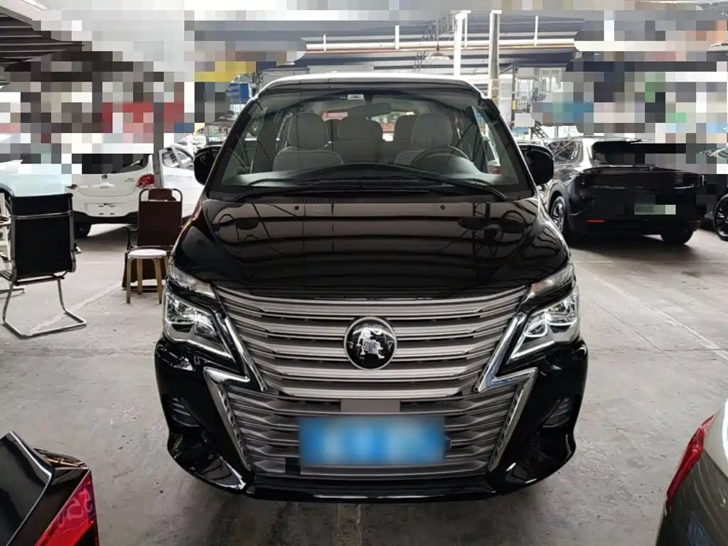 صورة 3 - Dongfeng Fengxing Lingzhi