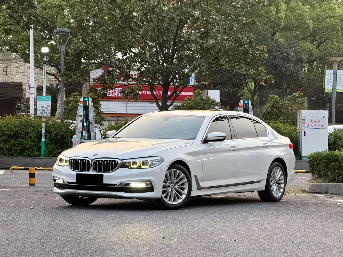 BMW 5 Series 2019 530Li Leading Luxury Package