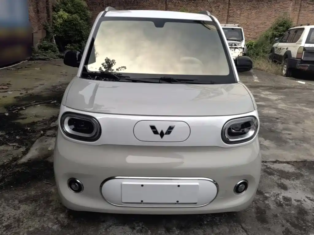 Фото 3 - Wuling Motors Hongguang MINIEV