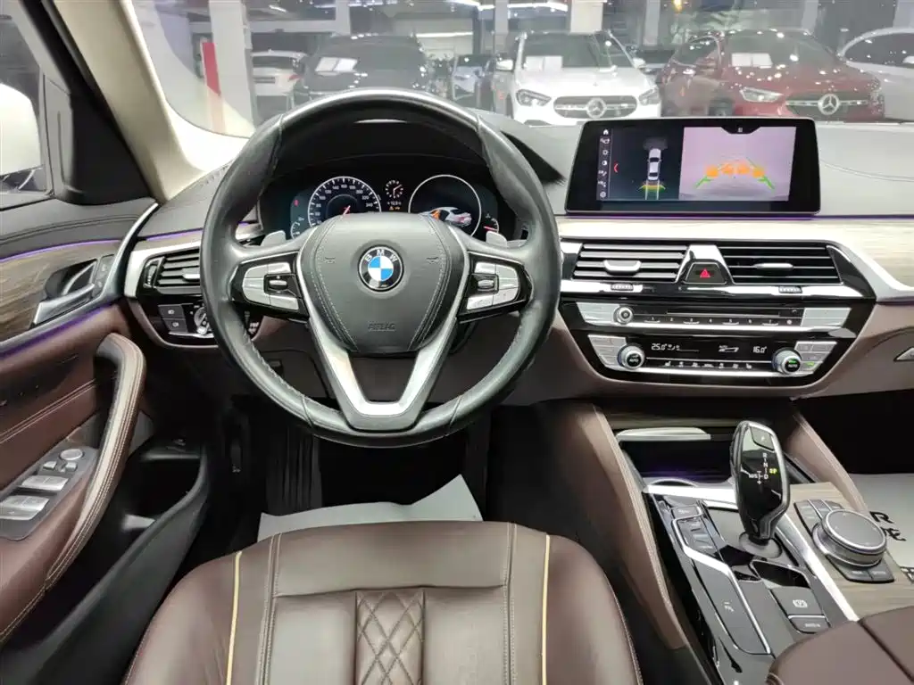 BMW 5 Series 2019 530Li Leading Luxury Package фото 8