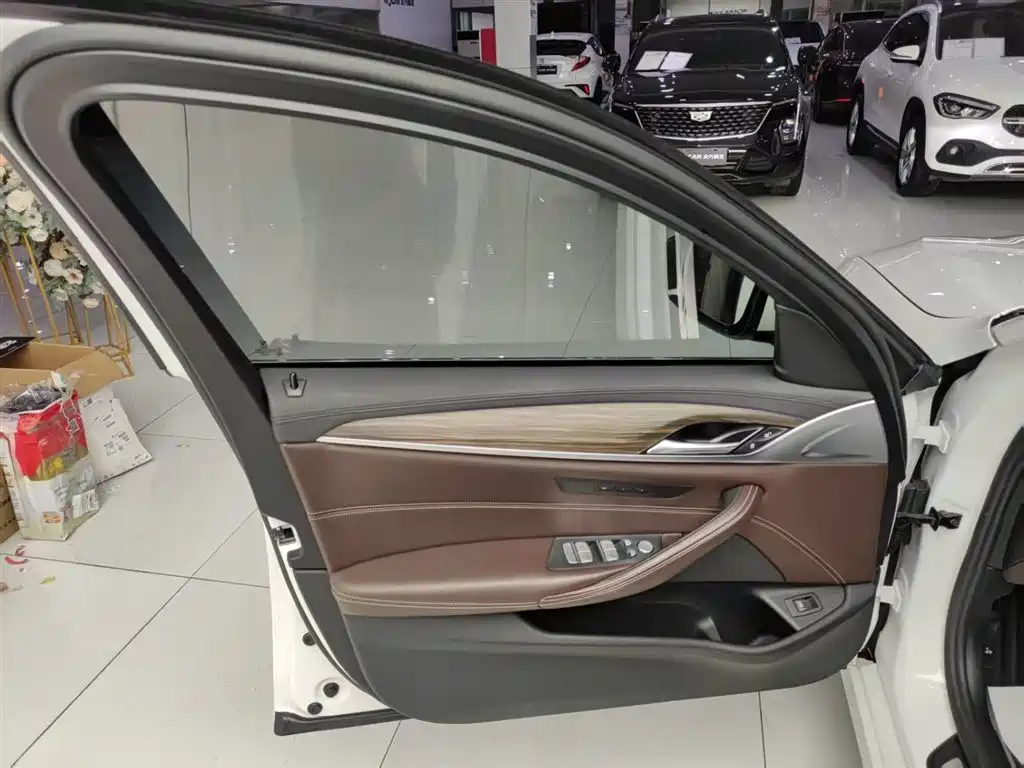 BMW 5 Series 2019 530Li Leading Luxury Package фото 24