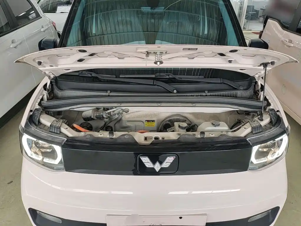 Фото 20 - Wuling Motors Hongguang MINIEV