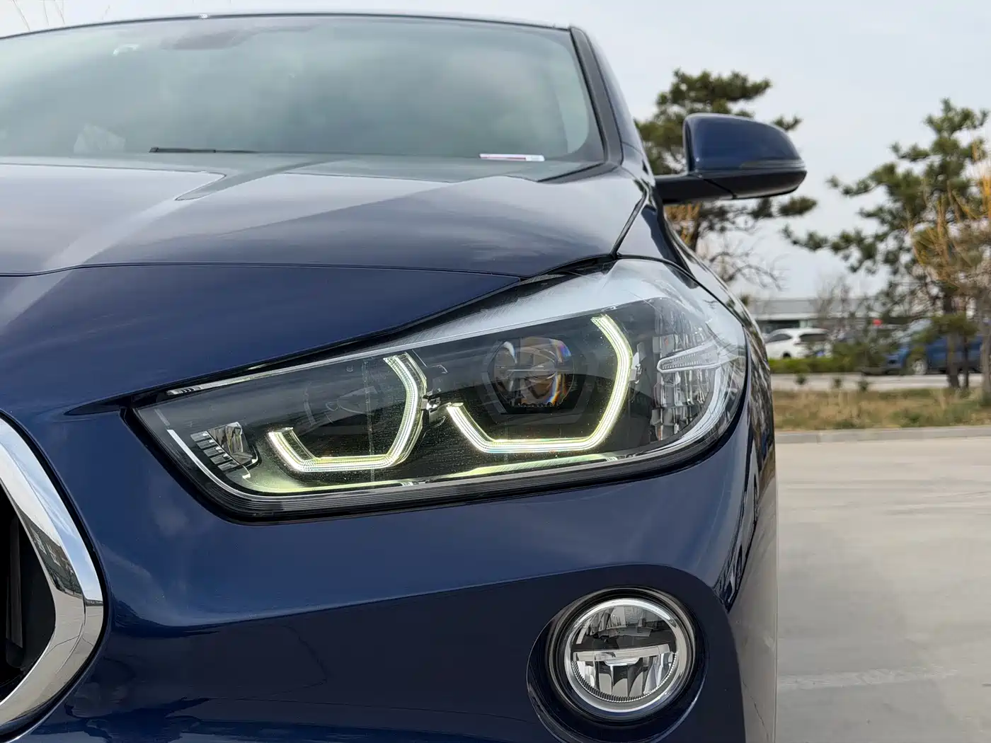 BMW X2 (Import) 2019 sDrive20i M Off-Road Package China VI фото 4