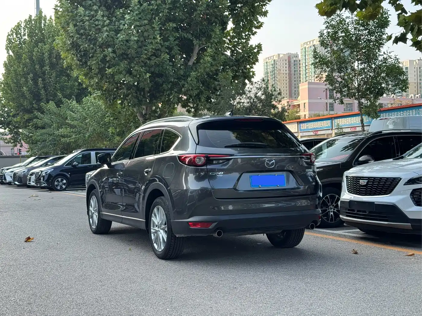 Mazda CX-8 2019 2019 2.5L AWD Premium Model
