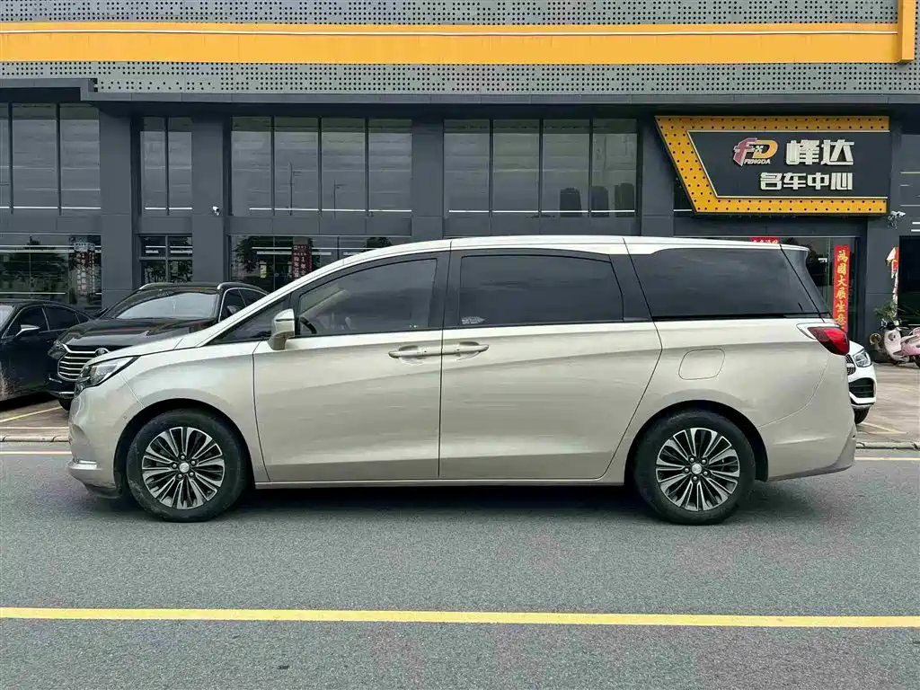 Buick GL8 2021 ES Landlord 653T Luxury фото 4