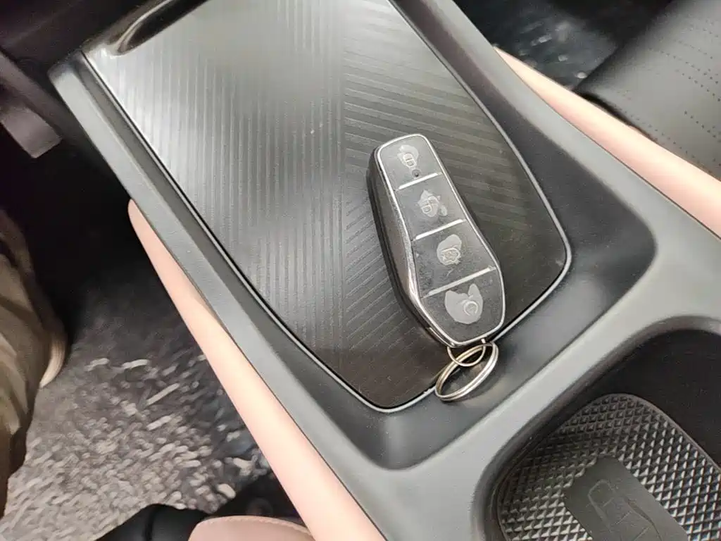 BYD Seagull 2026 2025 Smart Drive Edition 305km Vitality Version