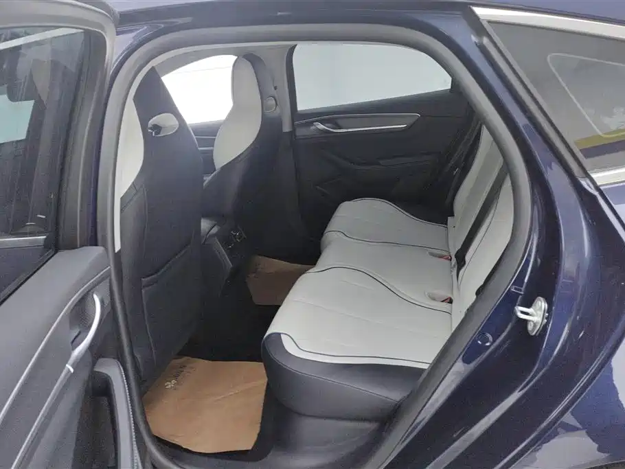 BYD Destroyer 05 2024 Glory Edition DM-i 55KM Luxury фото 10