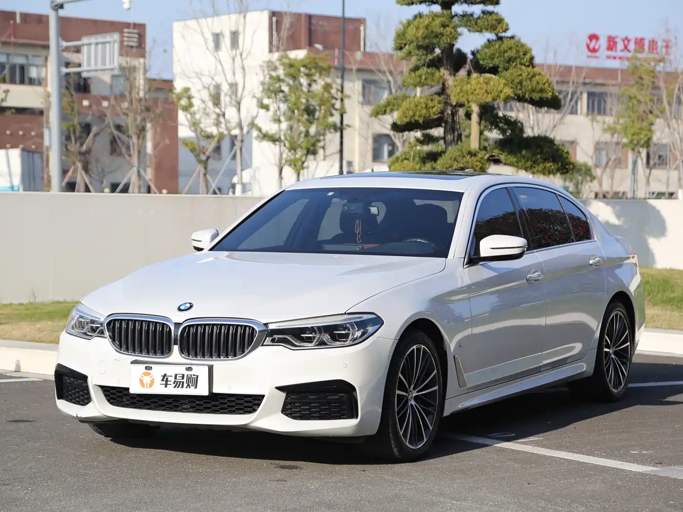 BMW 5 Series 2020 530Li Leading M Sport Package