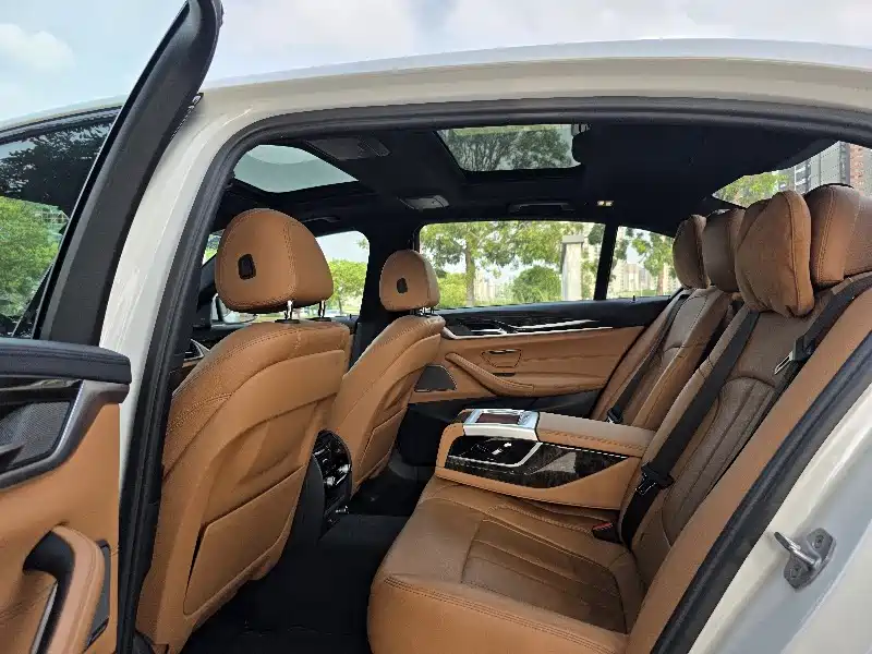 BMW 5 Series 2018 530Li Premium M Sport Package фото 5