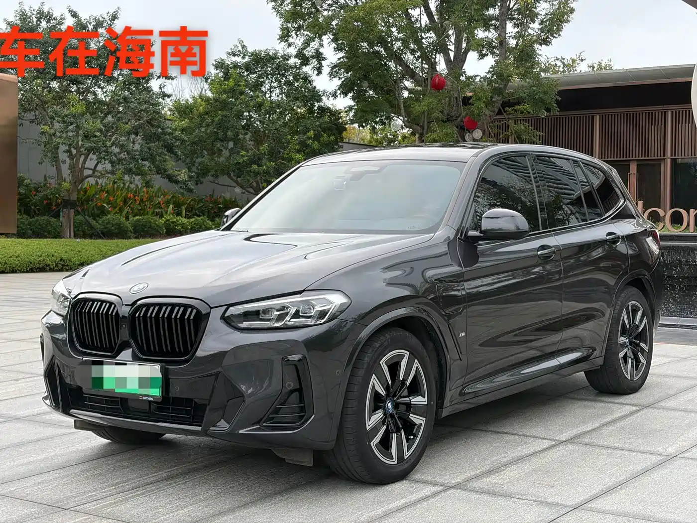 BMW iX3 2021 2022 Leading Edition