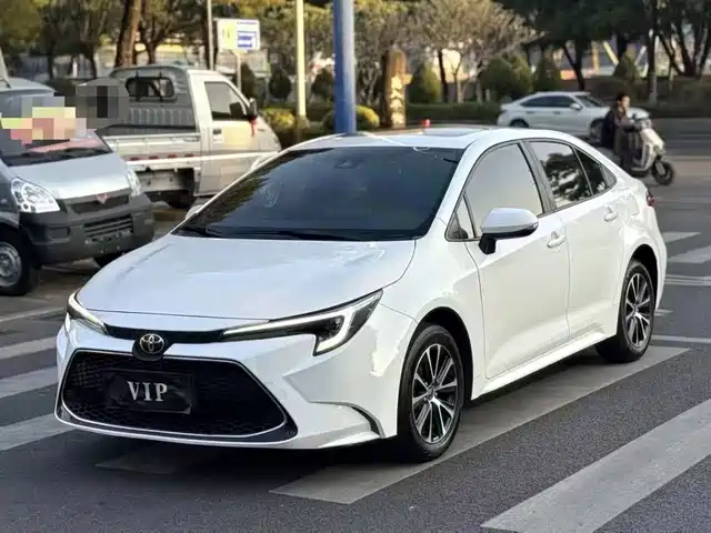 TOYOTA LEI LING 2024