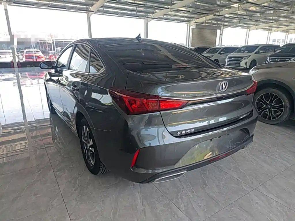 Фото 5 - Changan Eado