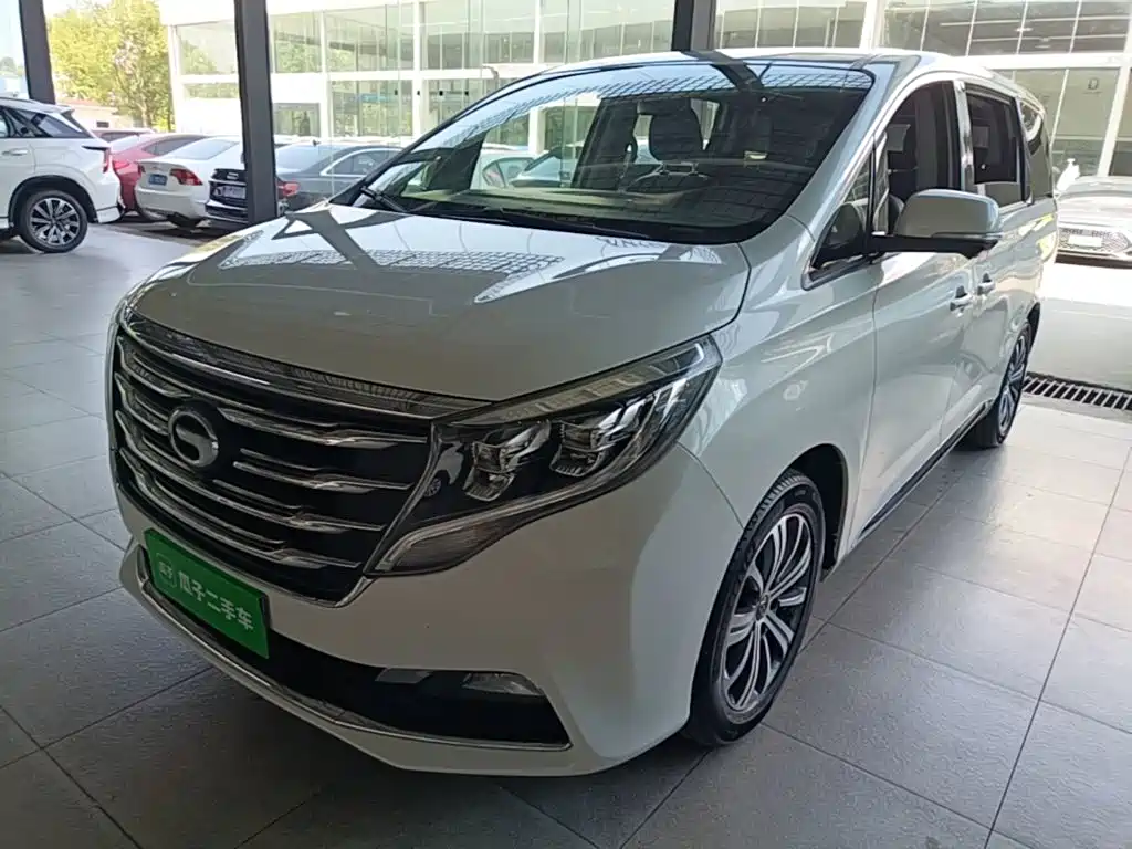GAC Trumpchi Trumpchi M8 2019 — пригон из Китая