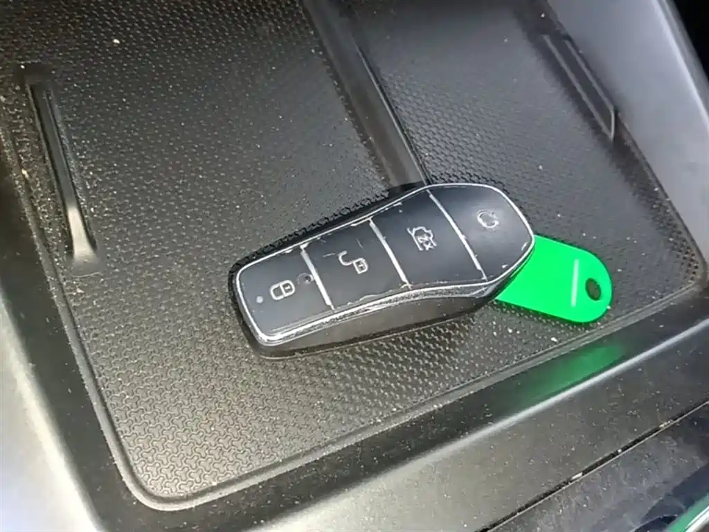 BYD Qin PLUS 2025 DM-i Smart Drive 55KM Leader фото 9